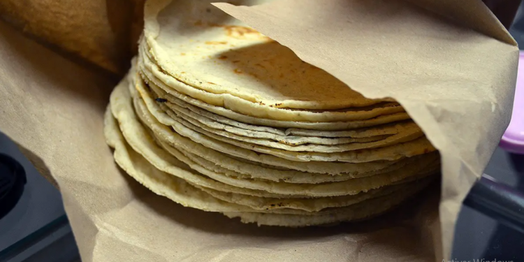 SUBE EL PRECIO DEL KILO DE TORTILLA A 22 PESOS EN YUCATÁN
