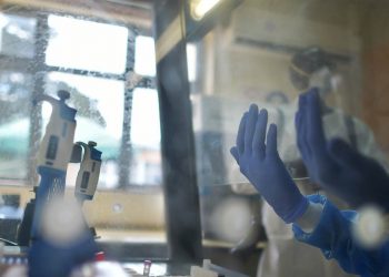 DISMINUYEN ABRUPTAMENTE CASOS DE CONTAGIO DE COVID-19 EN QUINTANA ROO