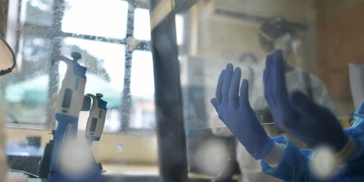 DISMINUYEN ABRUPTAMENTE CASOS DE CONTAGIO DE COVID-19 EN QUINTANA ROO