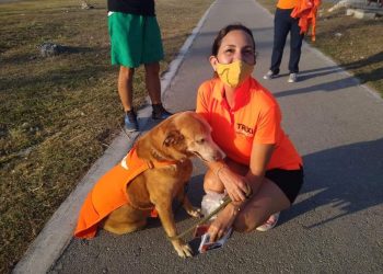 “LAS MASCOTAS MERECEN UN TRATO DIGNO”; TRIXIA VALLE HERRERA