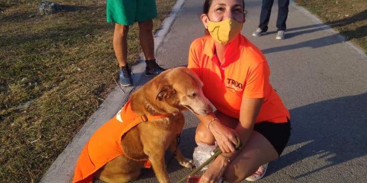 “LAS MASCOTAS MERECEN UN TRATO DIGNO”; TRIXIA VALLE HERRERA