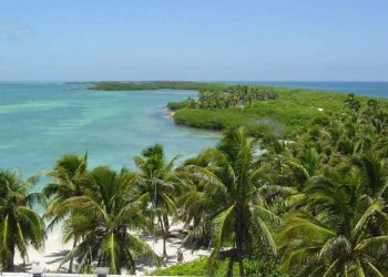 ADVIERTEN SOBRE VENTA ILEGAL DE TERRENOS EN CABO CATOCHE