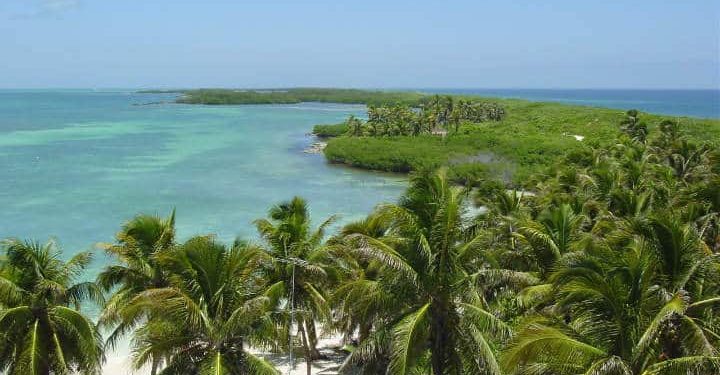 ADVIERTEN SOBRE VENTA ILEGAL DE TERRENOS EN CABO CATOCHE