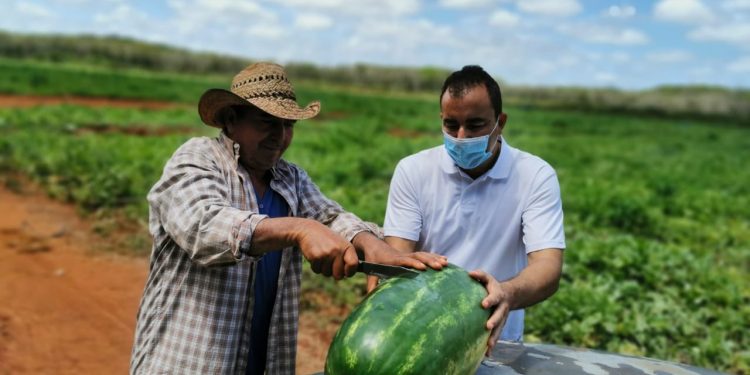 LAS FLOJAS Y NEGRAS CAMPAÑAS ELECTORALES