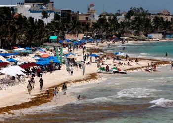 SARGAZO COMIENZA A LLEGAR A PLAYAS DE QUINTANA ROO