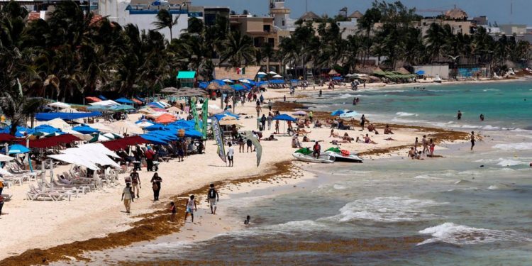 SARGAZO COMIENZA A LLEGAR A PLAYAS DE QUINTANA ROO