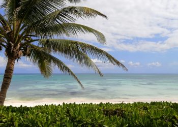 REPUNTA OCUPACIÓN HOTELERA DE LA RIVIERA MAYA CON VACACIONES DE SEMANA SANTA