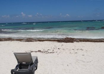 AUMENTA RECALE DE SARGAZO EN PLAYA DEL CARMEN