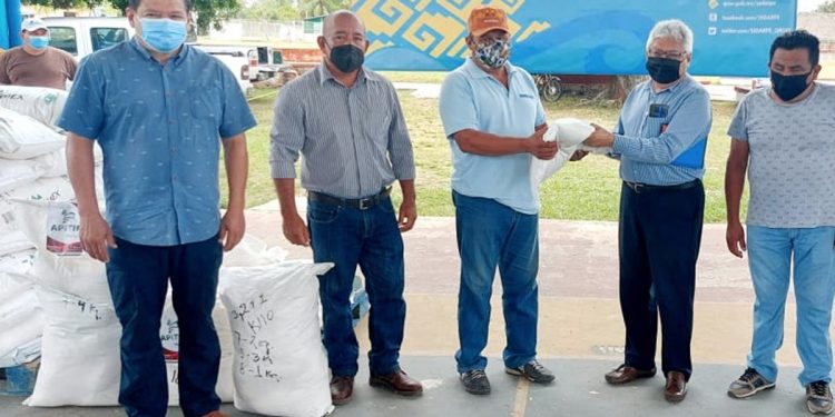 “ENDULZA” SEDARPE A APICULTORES DE BACALAR CON APOYOS