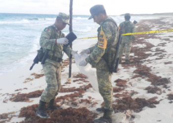 SEDENA ASEGURO CINCO KILOS DE ESTUPEFACTOS EN COZUMEL