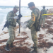 SEDENA ASEGURO CINCO KILOS DE ESTUPEFACTOS EN COZUMEL