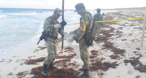 SEDENA ASEGURO CINCO KILOS DE ESTUPEFACTOS EN COZUMEL