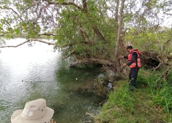 SIGUEN OPERATIVOS CONTRA PESCA FURTIVA