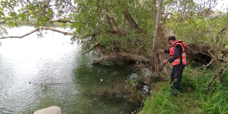 SIGUEN OPERATIVOS CONTRA PESCA FURTIVA