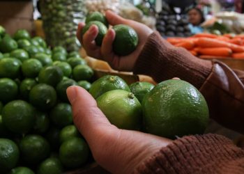 AUMENTAN LOS PRECIOS DEL LIMÓN Y EL AGUACATE ESTA SEMANA SANTA