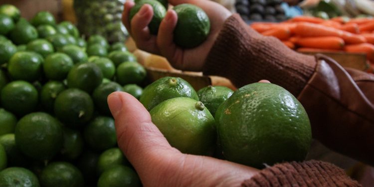 AUMENTAN LOS PRECIOS DEL LIMÓN Y EL AGUACATE ESTA SEMANA SANTA