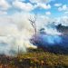 11 INCENDIOS FORESTALES EN QUINTANA ROO LIQUIDADOS AL 100%.