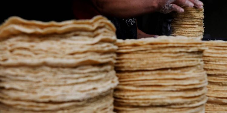 AL PASO QUE VA EL KILO DE TORTILLA COSTARA 24 PESOS