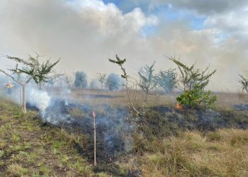 ALERTA POR INCENDIOS EN EL SUR DEL PAÍS