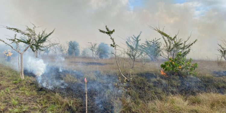 ALERTA POR INCENDIOS EN EL SUR DEL PAÍS