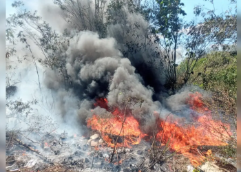 ABUNDAN CONATOS DE INCENDIOS FORESTALES EN LÁZARO CÁRDENAS