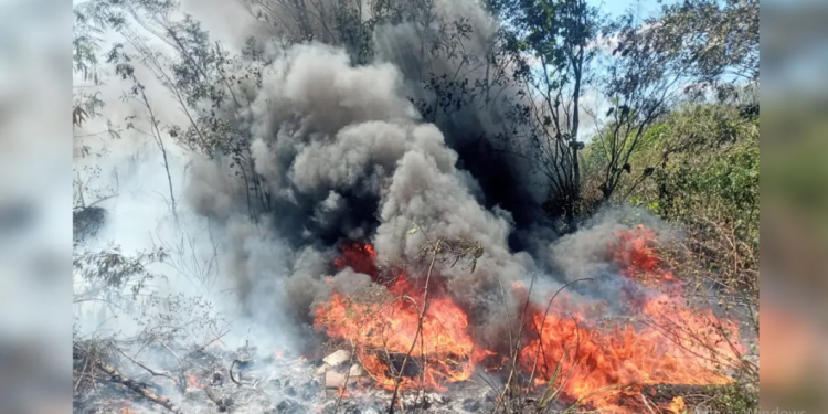 ABUNDAN CONATOS DE INCENDIOS FORESTALES EN LÁZARO CÁRDENAS