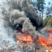 ABUNDAN CONATOS DE INCENDIOS FORESTALES EN LÁZARO CÁRDENAS