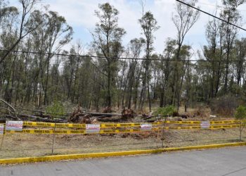 PROTESTAN VECINOS POR TALA DE ÁRBOLES EN INFONAVIT ATASTA