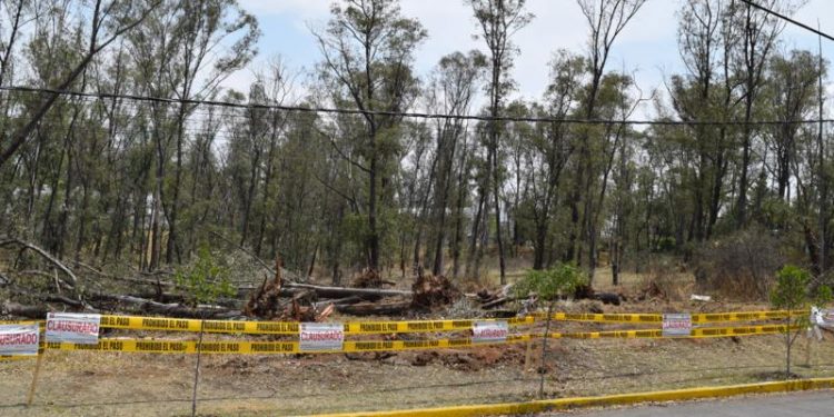 PROTESTAN VECINOS POR TALA DE ÁRBOLES EN INFONAVIT ATASTA