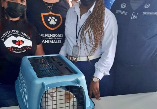 «NARCOGATO» INTENTA PASAR DROGA A UNA CÁRCEL DE PANAMÁ