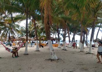 ABARROTAN MAHAHUAL Y BACALAR FAMILIAS DEL SUR