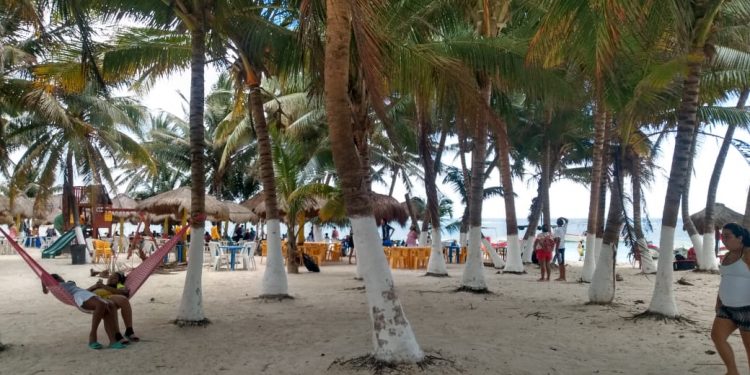 ABARROTAN MAHAHUAL Y BACALAR FAMILIAS DEL SUR