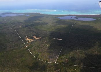 REPORTAN CINCO INCENDIOS FORESTALES ACTIVOS