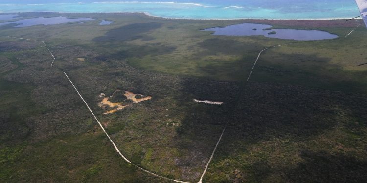 REPORTAN CINCO INCENDIOS FORESTALES ACTIVOS