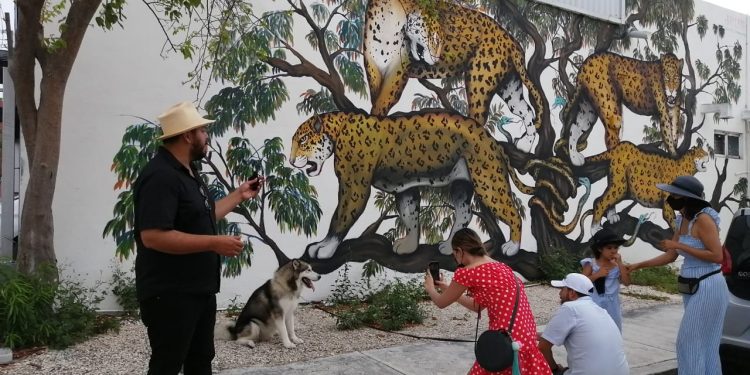 DESCUBREN “SECRETOS” DE CANCÚN CON EL PASEO PIONERO