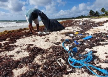 SE REALIZA LIMPIEZA DE DESECHOS QUE ARRASTRAN LAS CORRIENTES OCEÁNICAS EN XCACEL-XCACELITO