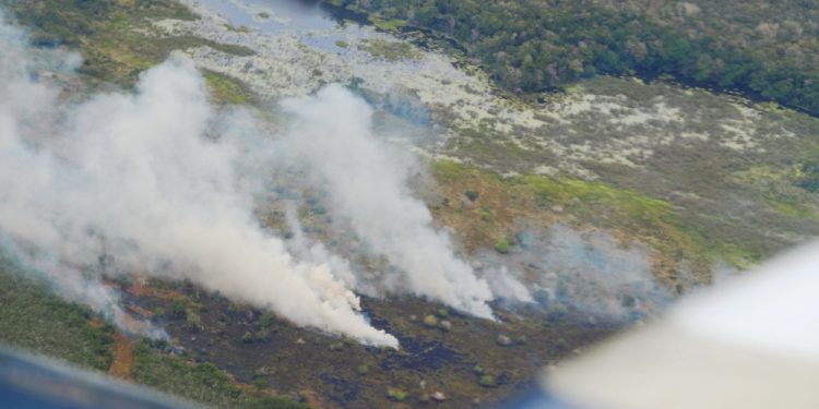 MENOS INCENDIOS FORESTALES EN 2021, HAY MAYOR CONCIENCIA DE CONSERVACIÓN