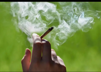 CELEBRAN EL DÍA DE LA MARIGUANA EN CANCÚN
