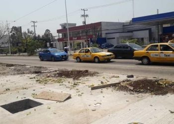 CIUDADANO DEMANDA A FARMACIAS GUADALAJARA POR TALAR LOS GUAYACANES EN AV. QUINTÍN ARAUZ