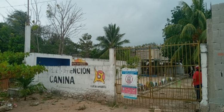 LE «DUELE» A OTHONIEL SEGOVIA ATENDER A LOS PERRITOS DE LA CALLE