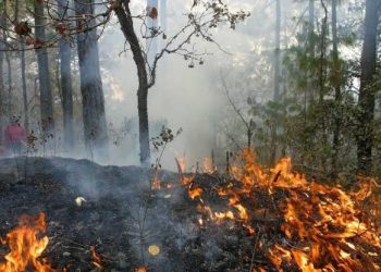 SE PRONOSTICAN ALTAS TEMPERATURAS, POCA PRECIPITACIÓN Y VIENTOS FUERTES