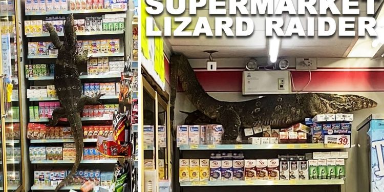 «GODZILLA ES REAL»: GIGANTESCO LAGARTO DESATA EL PÁNICO EN TAILANDIA