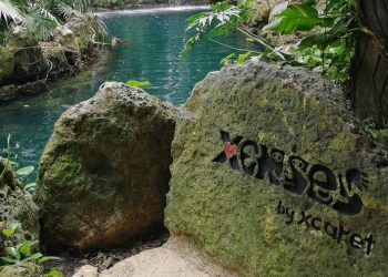 GRUPO XCARET SOLO PAGARÍA MULTA DE 150 MIL PESOS POR MUERTE DEL PEQUEÑO LEO