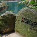 GRUPO XCARET SOLO PAGARÍA MULTA DE 150 MIL PESOS POR MUERTE DEL PEQUEÑO LEO