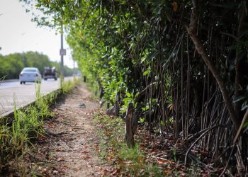 VA BLANCA MERARI POR EL RECICLAJE Y LA REUTILIZACIÓN DE LOS RESIDUOS