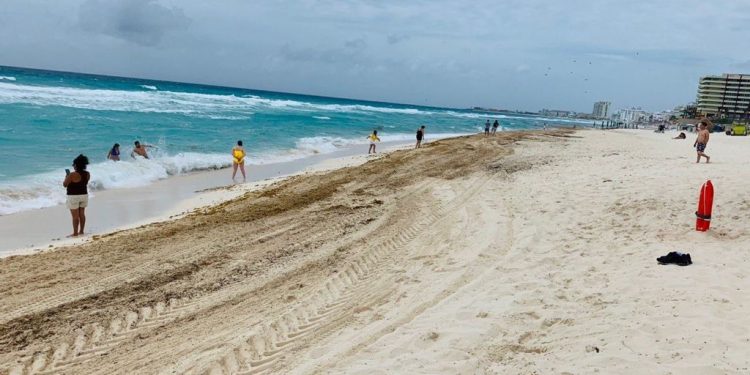 MÁS DE 10 MIL TONELADAS DE SARGAZO A RETIRADO LA ARMADA DE MÉXICO