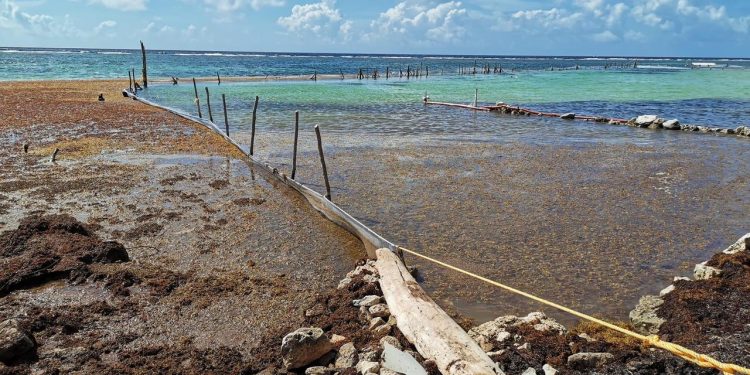 EMBARCACIÓN ESPECIAL PARA ATENDER TEMA DE SARGAZO EN QROO