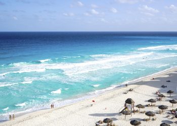 LOGRA CARIBE MEXICANO PRIMERAS 30 CITAS DE NEGOCIO EN LA FITUR