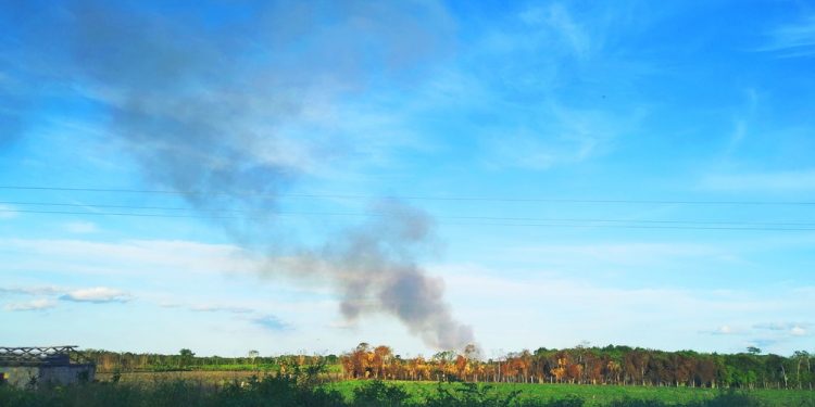 TRES INCENDIOS FORESTALES ESTÁN ACTIVOS EN QUINTANA ROO.