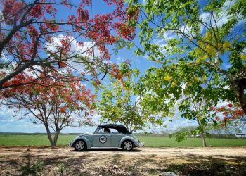 SE CUMPLEN LOS PRIMEROS 263 KILÓMETROS DE LA SÉPTIMA EDICIÓN DEL MUSEO RODANTE